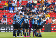 Gallos con sabor a Sudamérica
