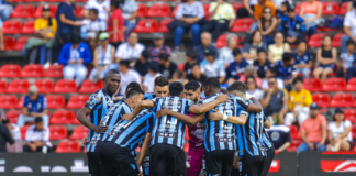 Gallos con sabor a Sudamérica