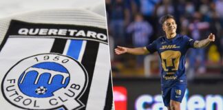 ¡Uno más!, Gallos anuncia un nuevo fichaje