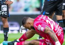 ¿Quién será el gallo que defienda el arco?