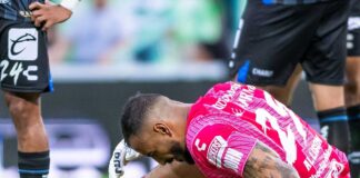 ¿Quién será el gallo que defienda el arco?