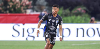 Gallos en busca de las semifinales