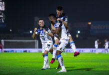 ¿ Qué necesita Gallos para clasificar ?