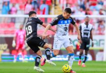 Fin del toreno para Gallos.