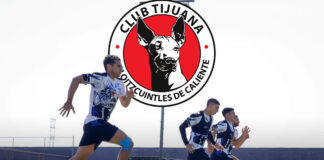 GALLOS RECIBE A LOS XOLOS DE TIJUANA, EN EL ARRANQUE DEL TORNEO APERTURA 2024