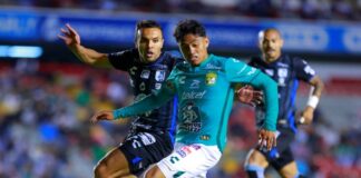 A evitar ser la presa del León…