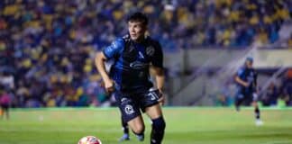 El Gallo debe cantar mejor que la academia