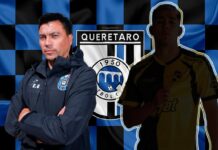 Las Nuevas caras del gallo, ¿Quiénes son?