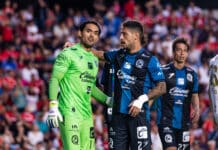 Gallos busca ser el pararayos del Necaxa